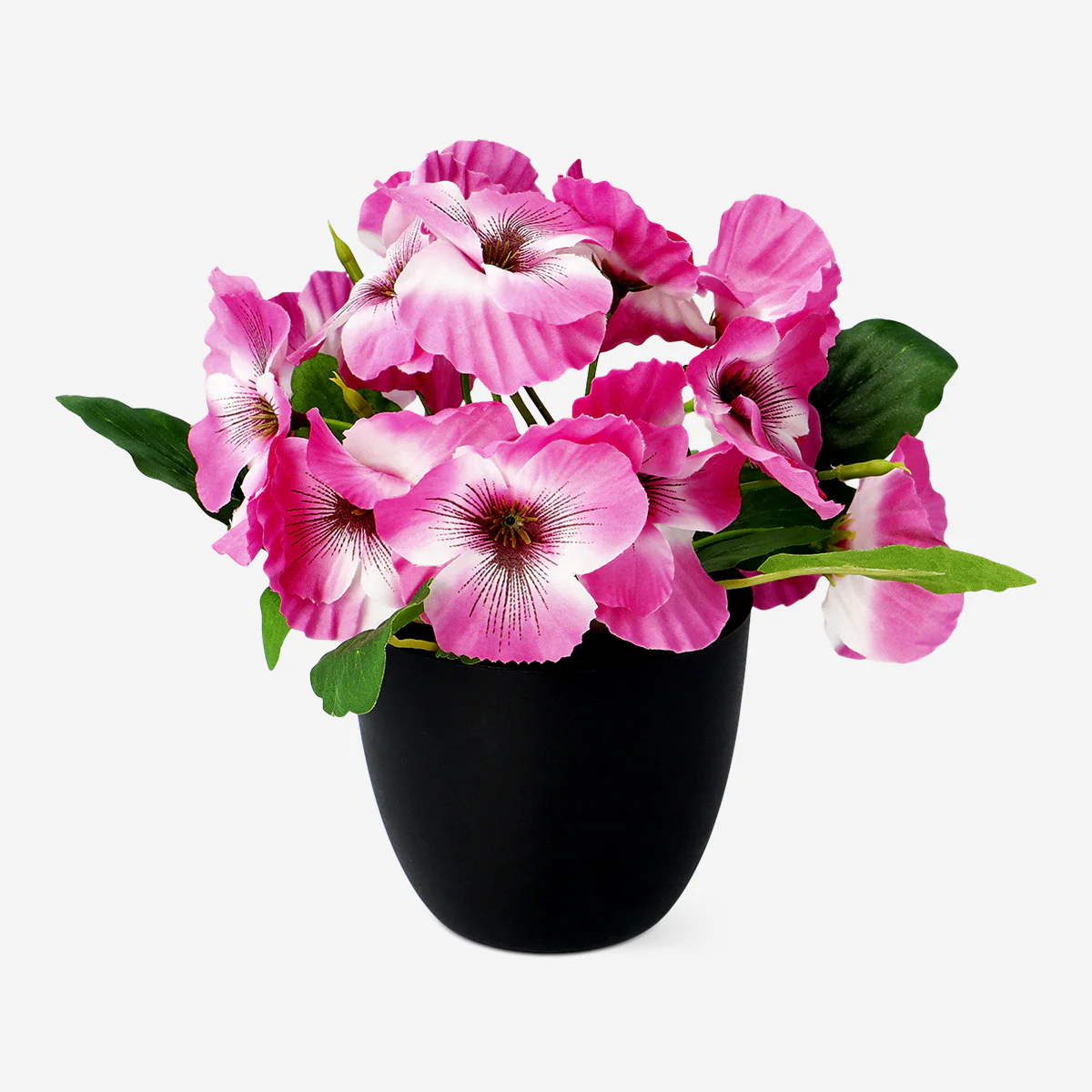 Decorative plant with flowers - 20 cm - Image 2