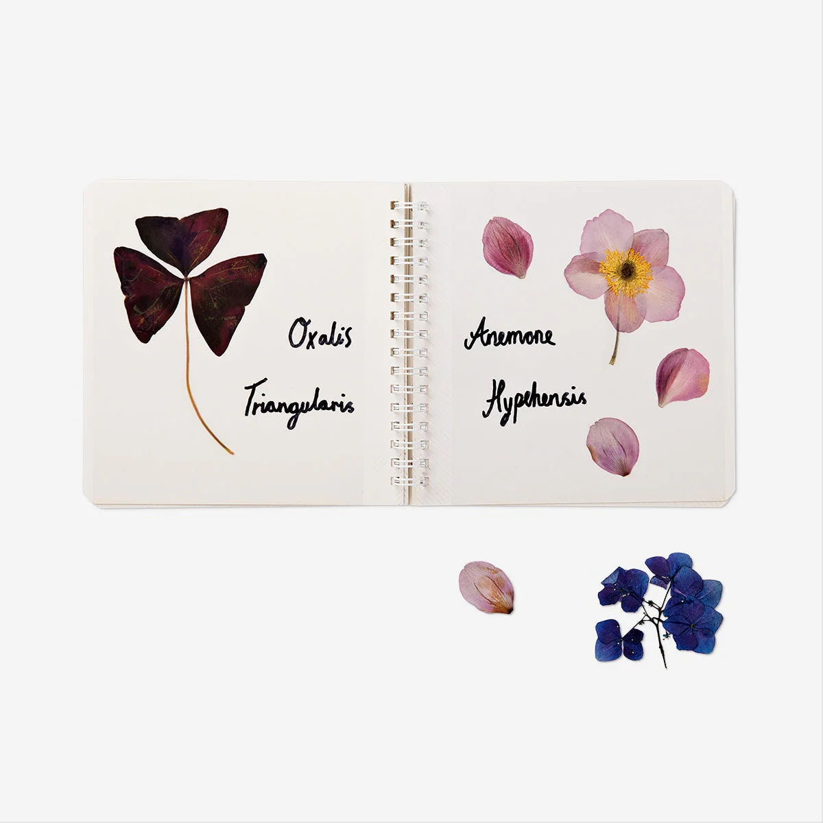 Flower press kit - Image 3