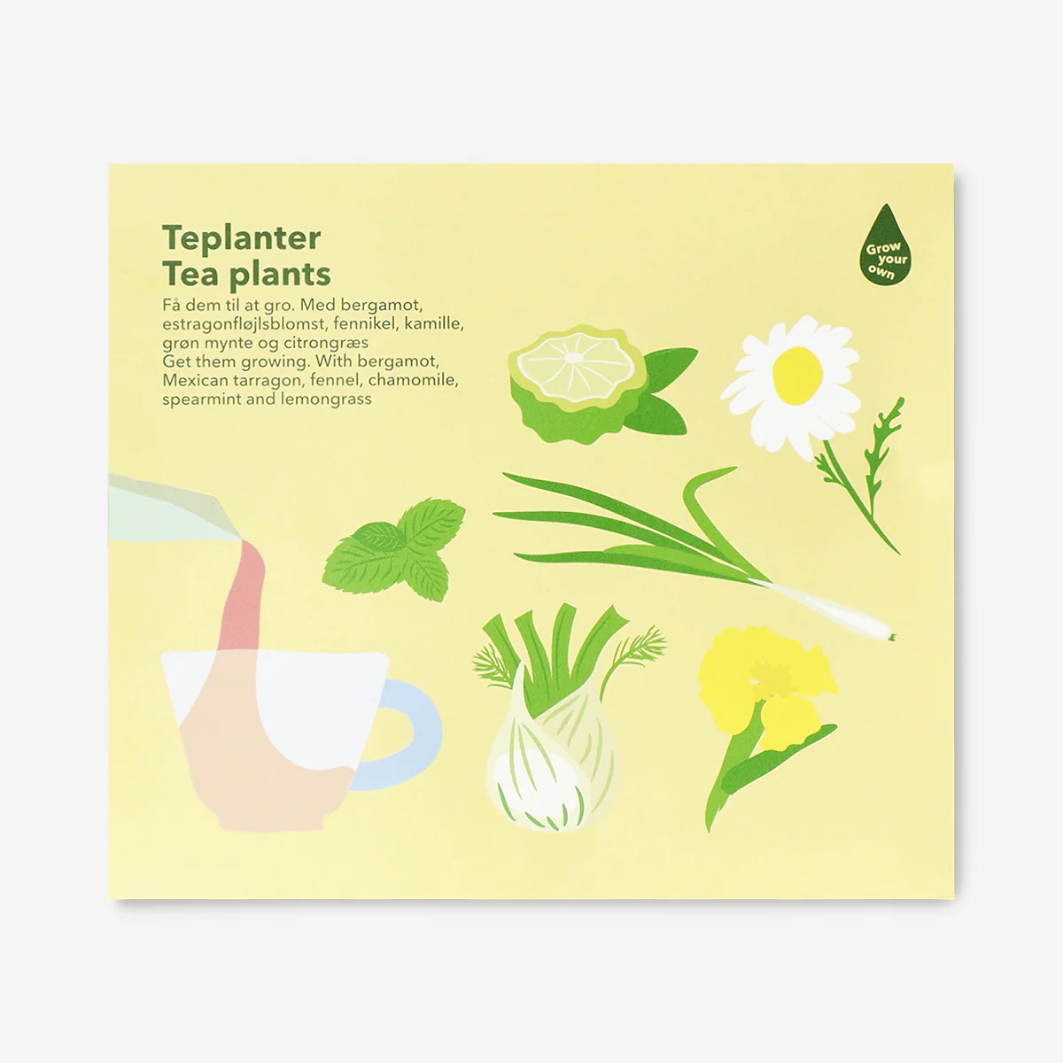 Grow kit greenhouse - Image 2