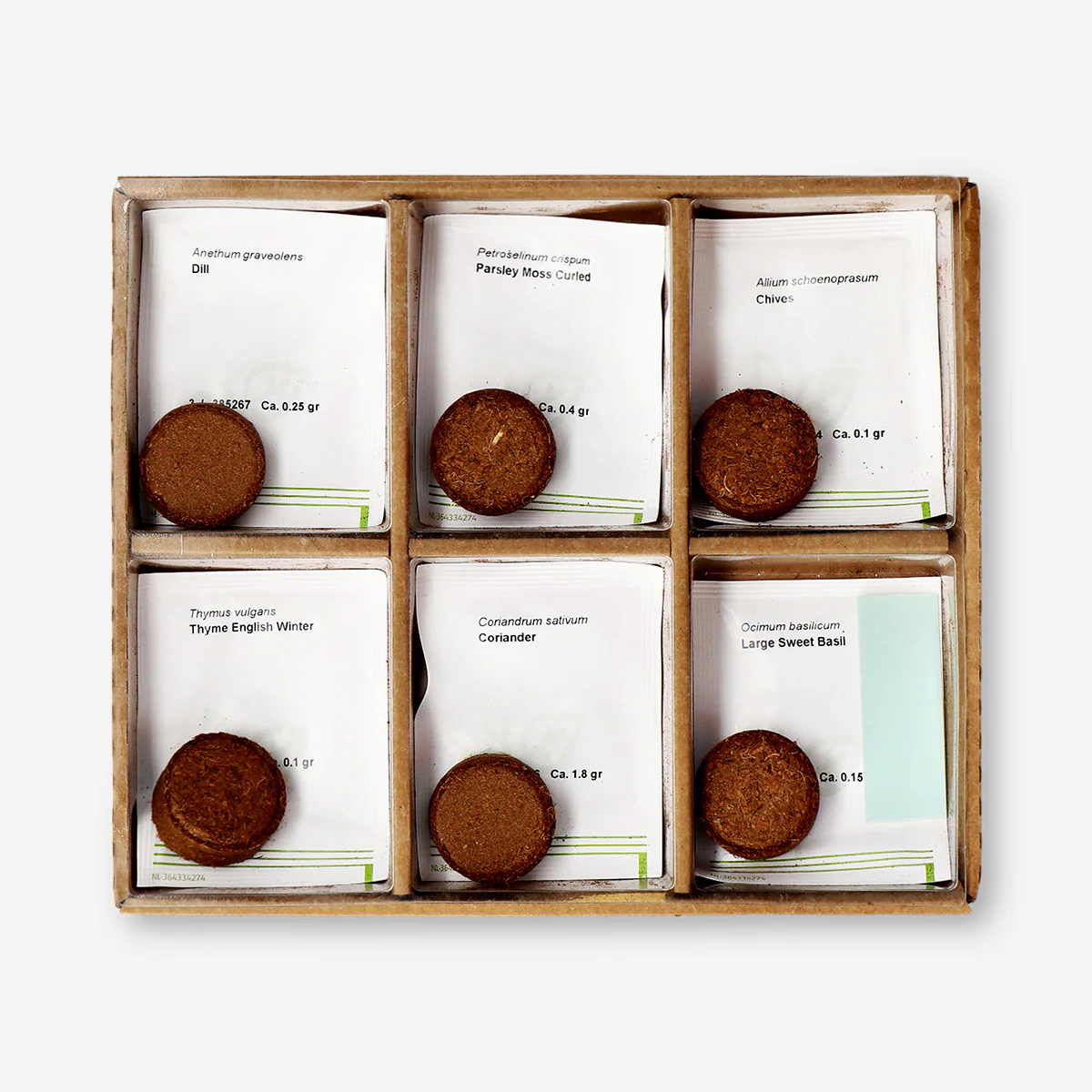 Herb garden grow kit - Chives, coriander, dill, parsley, basil and thyme - Image 2