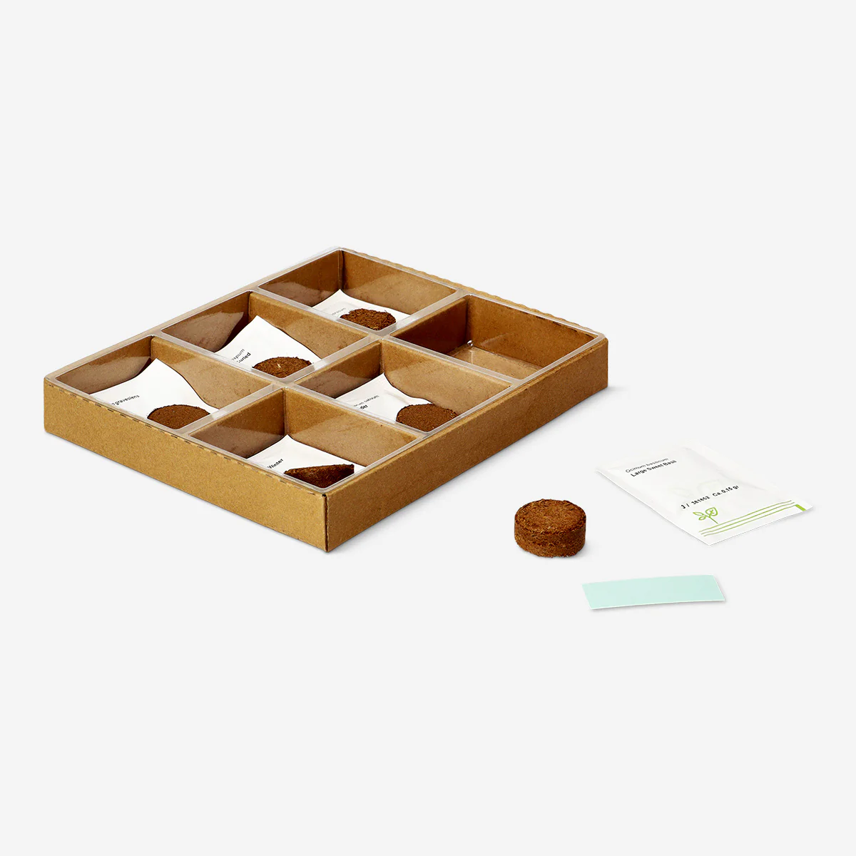 Herb garden grow kit - Chives, coriander, dill, parsley, basil and thyme - Image 3