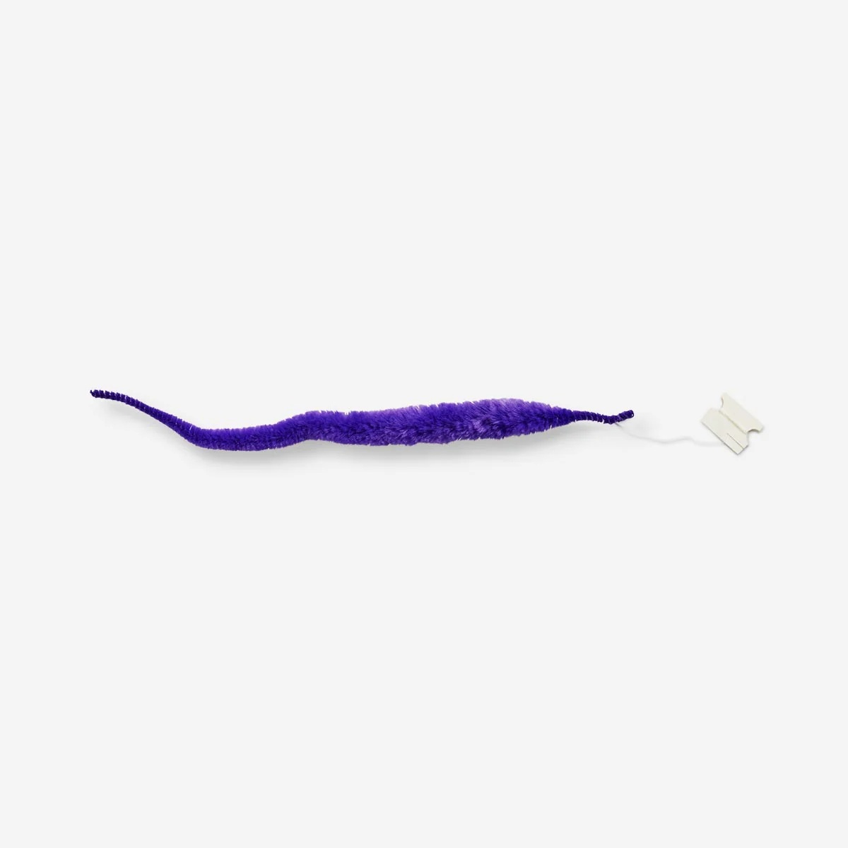 Purple Twisty Worm