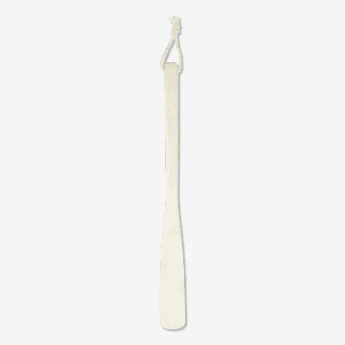 Shoe horn