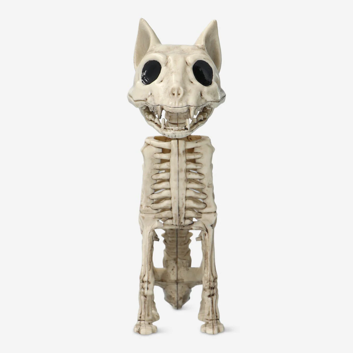 Skeleton cat - Image 3