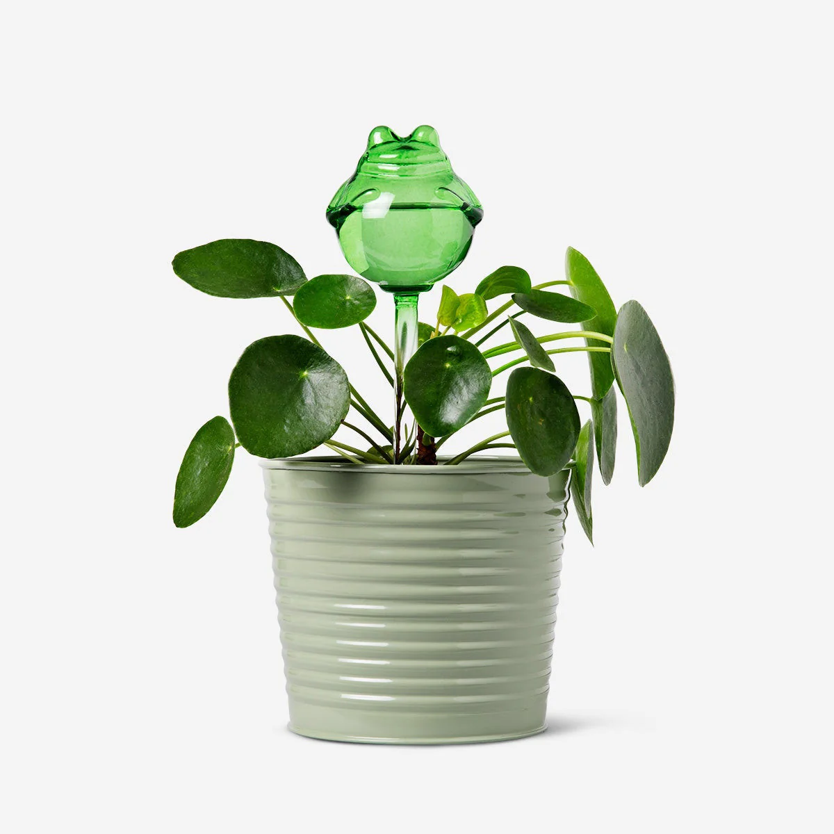 Frog watering spike - Image 2